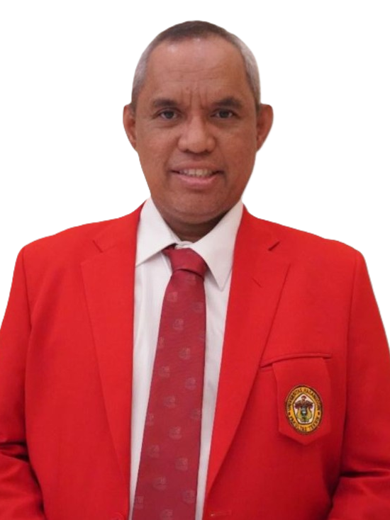 Prof. Dr. Ir. Amil Ahmad Ilham, S.T., M.IT.